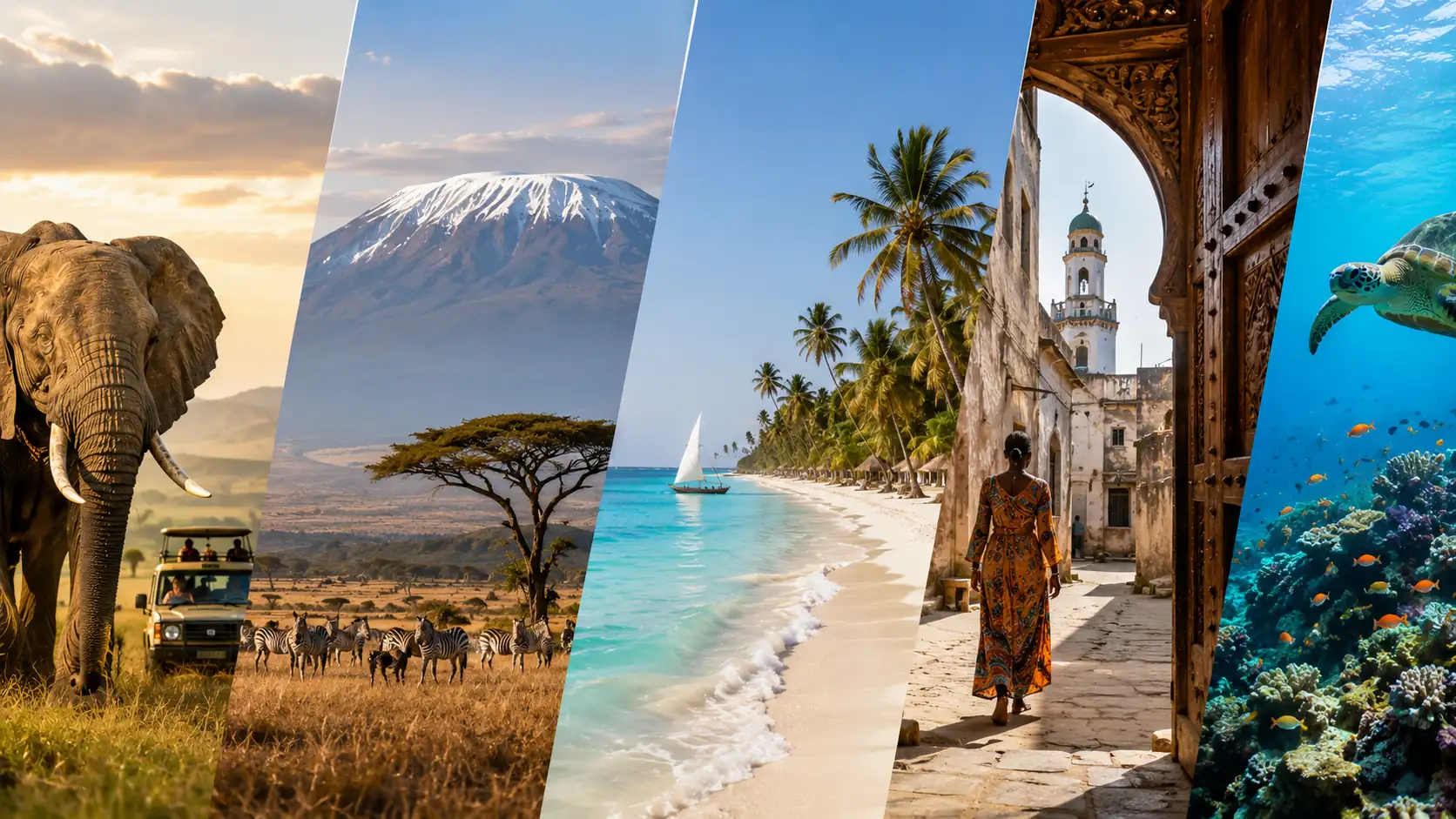Why Tanzania Can Become Africa's Most Complete Destination